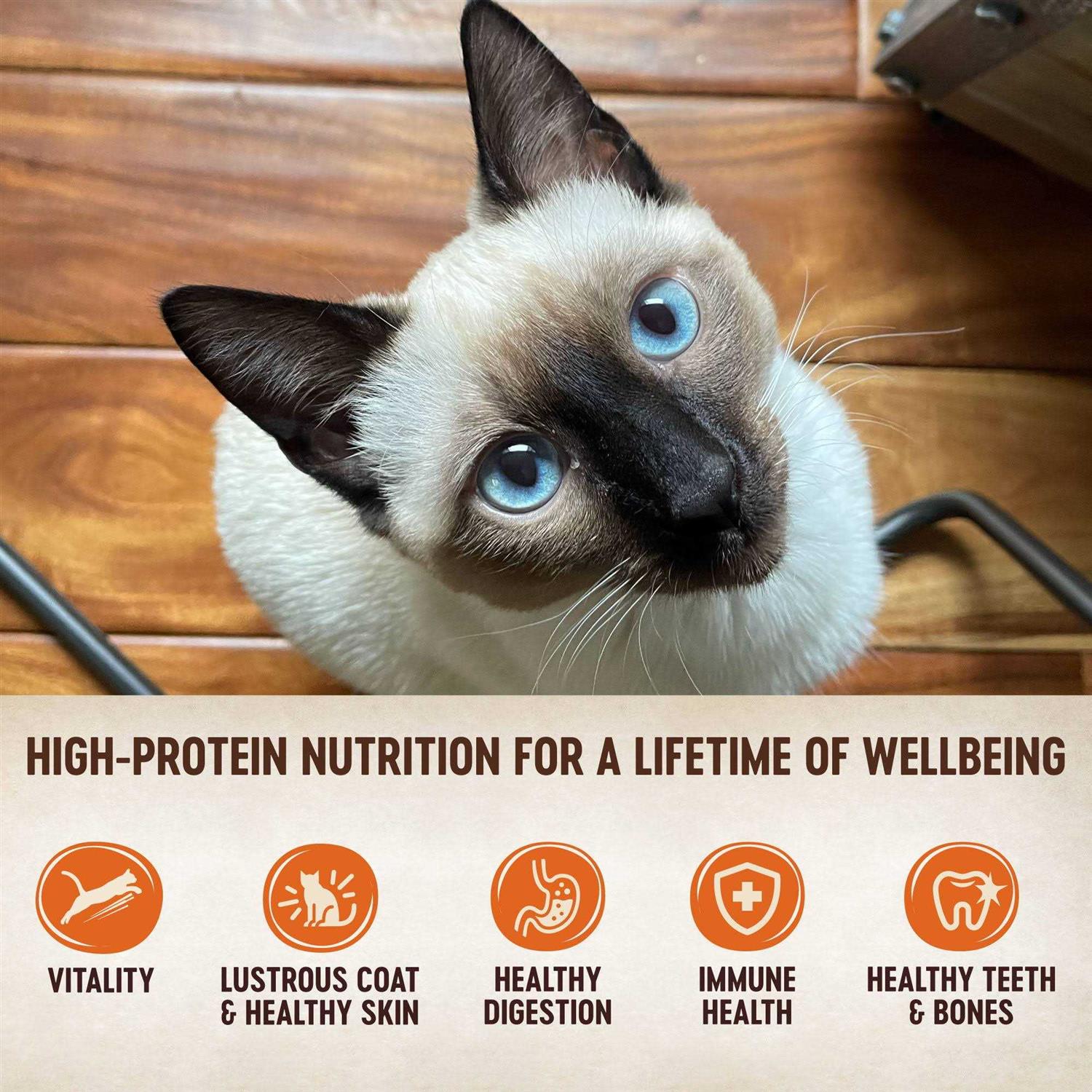 Alternative view of Wellness CORE Natural Grain-Free Turkey & Chicken Liver Pate Canned Kitten Food