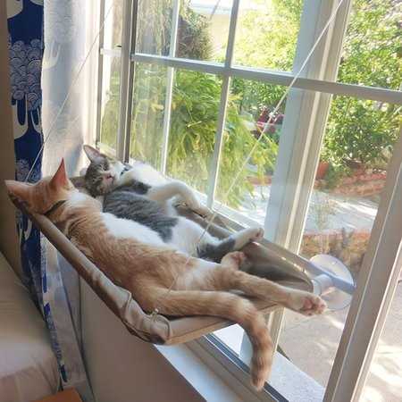 Dcenta Cat Window Peh Hammock Window Mounted Cat Bed Cooling Breathable Canvas Suction Cups Sunbath Hammock Bed for Cats Dogs, Size: One size, Beige