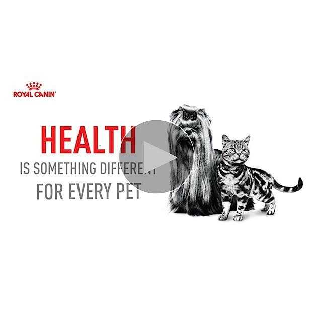 Alternative view of Royal Canin Hairball Care Thin Slices in Gravy Cat Food