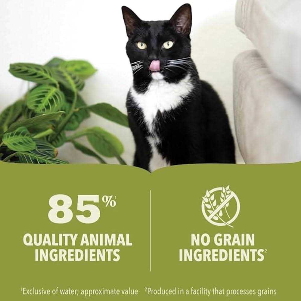 Alternative view of Acana Chicken & Tuna Kitten Recipe Wet Cat Food