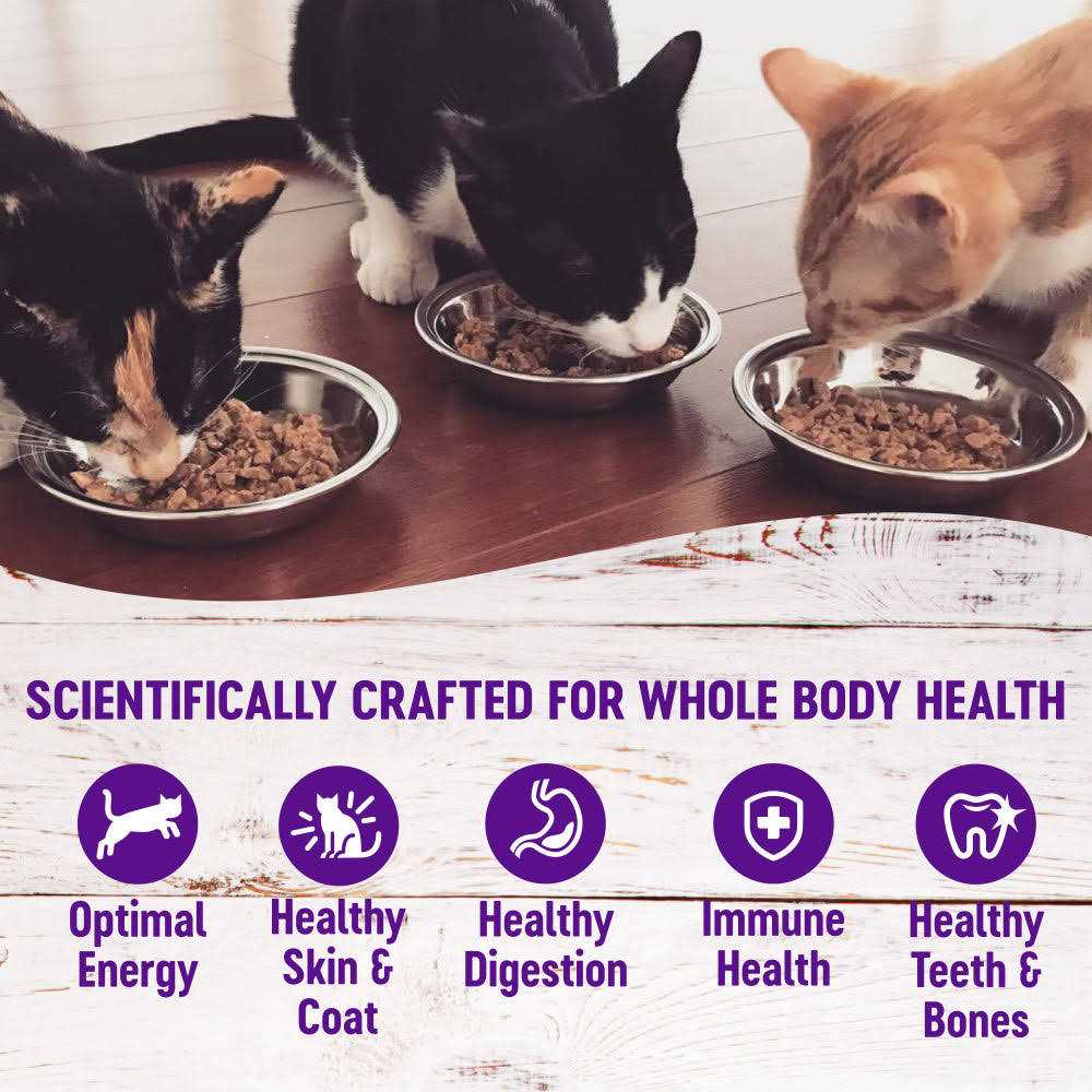 Alternative view of Wellness Healthy Indulgence Shreds Grain Free Wet Cat Food