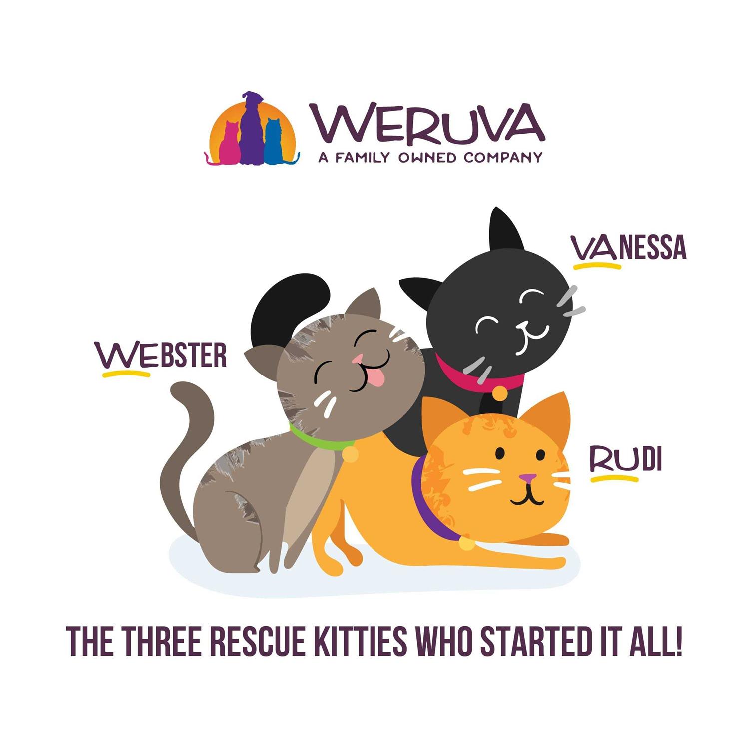 Alternative view of Weruva B.F.F. PLAY Best Feline Friend Paté Lovers