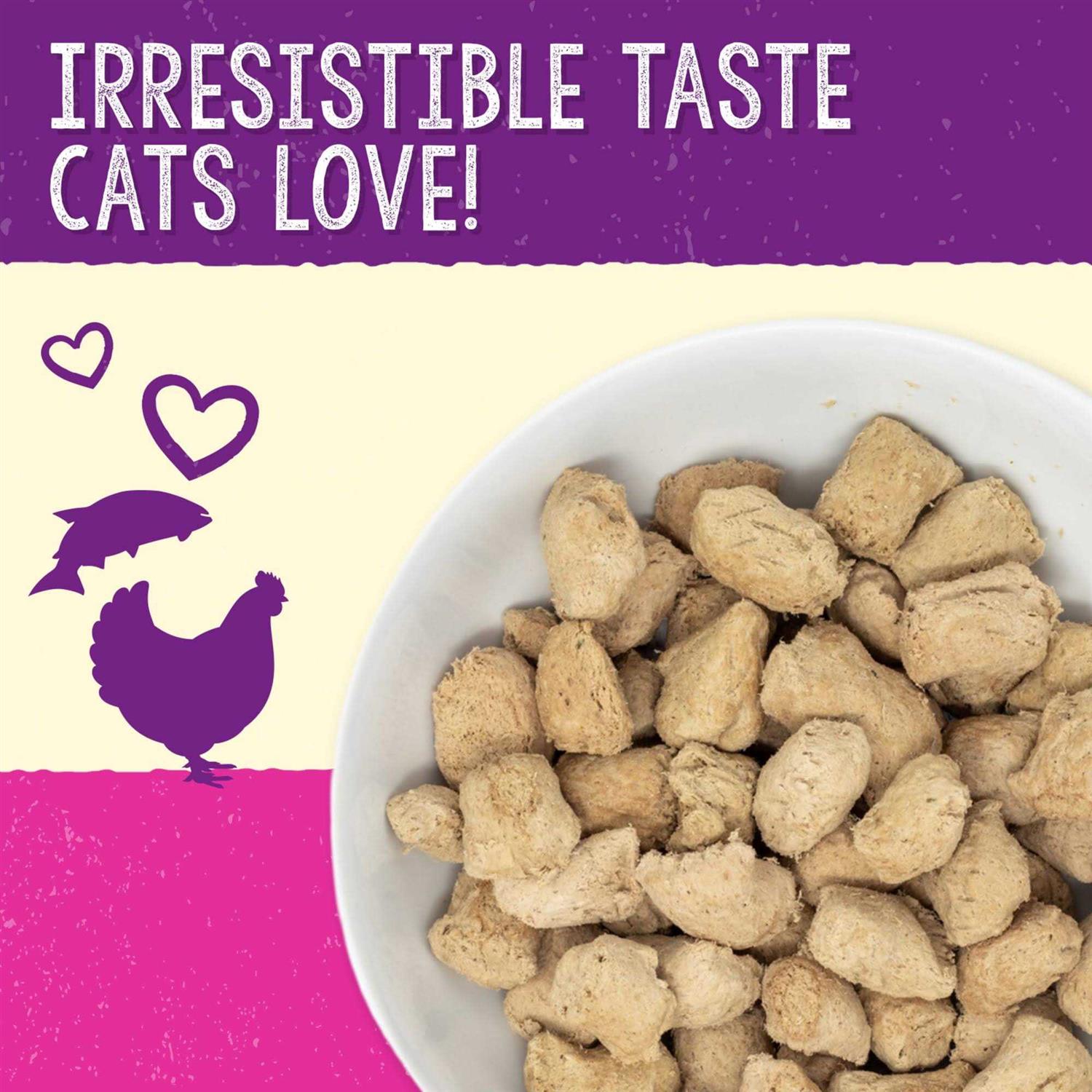 Alternative view of Stella & Chewy's Dinner Yummy Lickin' Salmon Chicken Freeze-Dried Cat Food