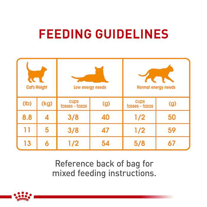 Alternative view of Royal Canin Hair & Skin Care Dry Cat Food