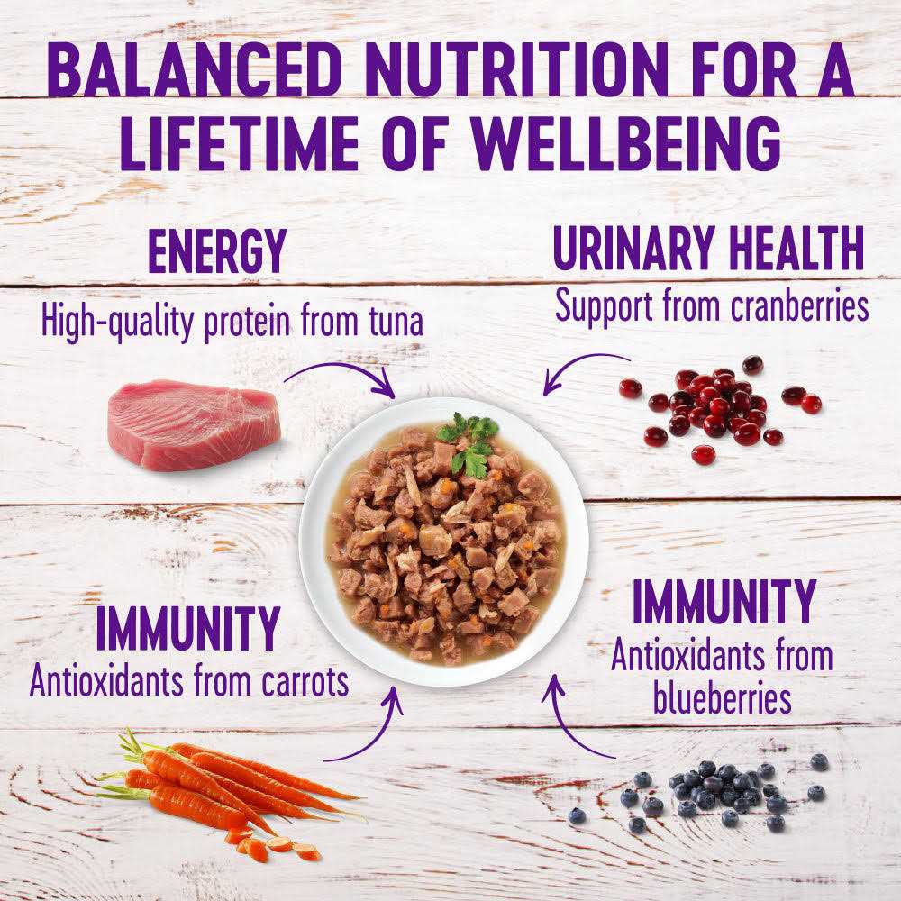 Alternative view of Wellness Healthy Indulgence Natural Grain Free Gravies and Gravy Cat Food Pouch