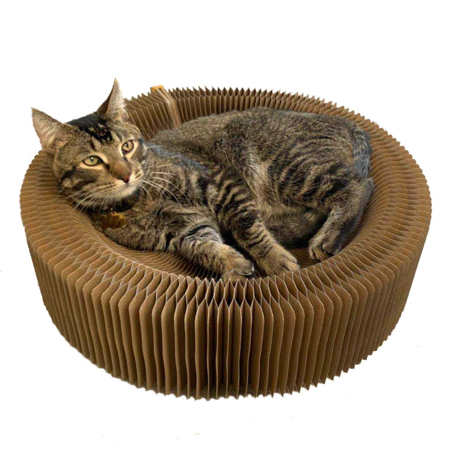 bobbypet cat scratcher lounge bed