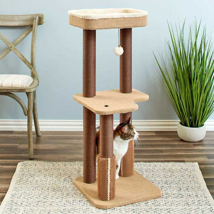 Two by Two Beech 39-inch Cat Tree