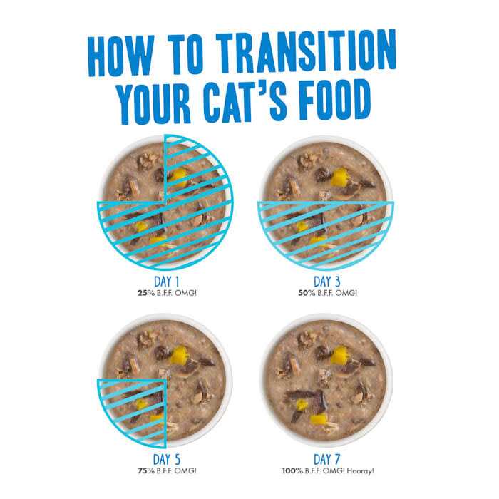Alternative view of B.F.F. OMG It's Gravy Baby! Variety Pack Wet Cat Food
