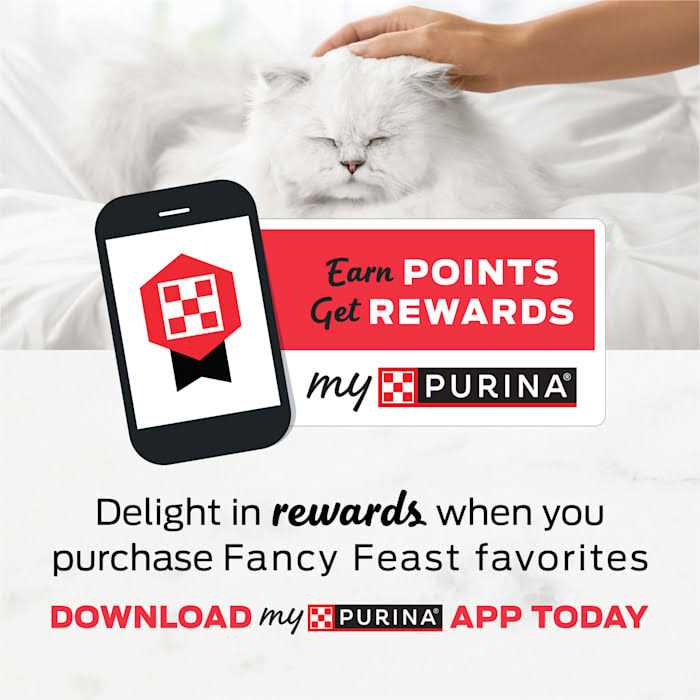 Alternative view of Purina Fancy Feast Medleys White Meat Chicken Florentine Wet Cat Food Can with Spinach