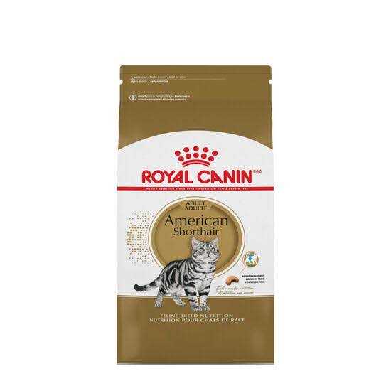 Royal Canin American Shorthair Adult Cat Food
