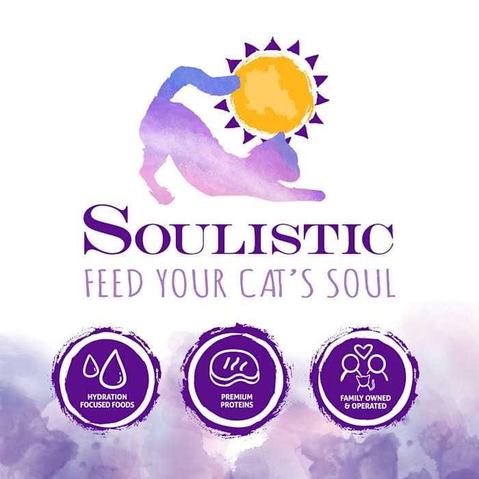 Alternative view of Soulistic Originals Harvest Sunrise Chicken & Pumpkin Dinner in Gravy Wet Cat Food